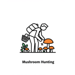 Mushroom Hunting