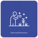 Observing Phenomena