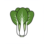 Pak Choi