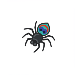 Peacock Spider