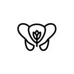 6