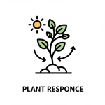 Plant Response