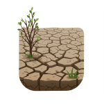 Prolonged Drought