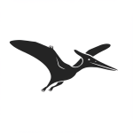 Pteranodon 