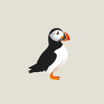 Puffin
