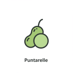 Puntarelle