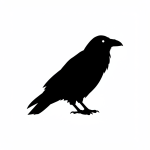 Raven