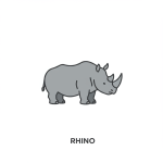 Rhino