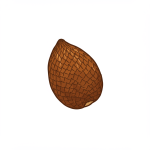 Salak
