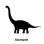 Sauropods