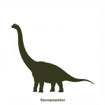 Sauroposeidon
