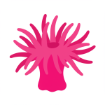 Sea Anemone