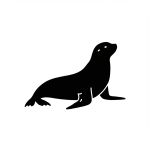 Sea Lion