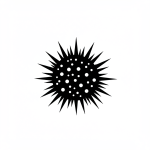 Sea Urchin