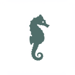 Seahorse