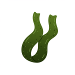 Seaweed (Nori, Kelp, Wakame)