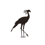 Secretary Bird