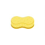 Sponge