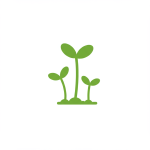 Sprouts