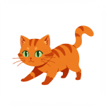 Stray