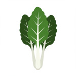 Swiss Chard