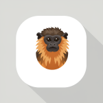Tamarin
