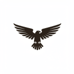 The Eagles