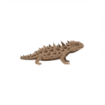 Thorny Devil