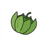 Tomatillo