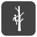 Tree Climbing