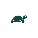 Turtles