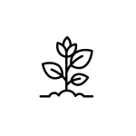 Vegetable Growing