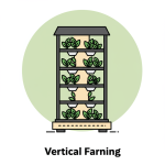 Vertical Farming