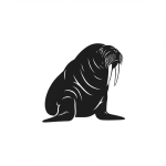 Walrus