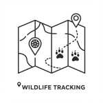 Wildlife Tracking