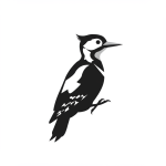 Woodpecker
