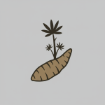 Yuca